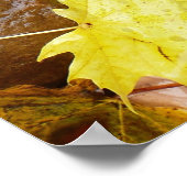 Nasse Blätter und Steine Herbstfotografie Poster (Ecke)