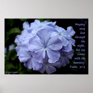 Nasse Blume Poster