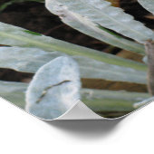 Nasse Blume Poster (Ecke)