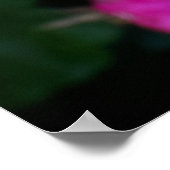 Nasse Blumen Poster (Ecke)
