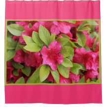 Nasse Fuchsien-Azalee