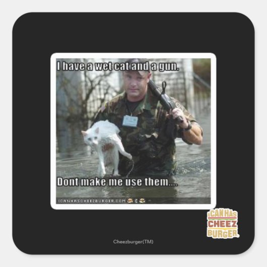 Nasse Katze und Gewehr Quadratischer Aufkleber (Vorderseite)