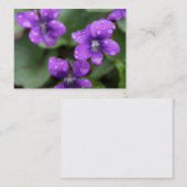Nasse lila Veilchen-Geschäfts-Karte Visitenkarte (Vorne/Hinten)