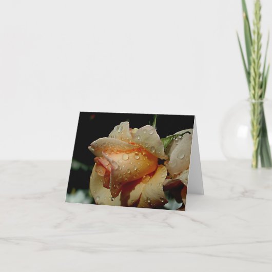 Nasse Orange-Rose Karte (Vorderseite)