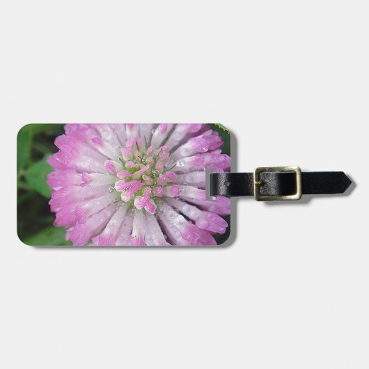 Nasse rosa Kleeblüte Gepäckanhänger (Vorderseite horizontal)