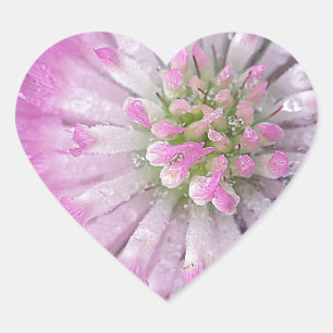 Nasse rosa Kleeblüte Herz-Aufkleber