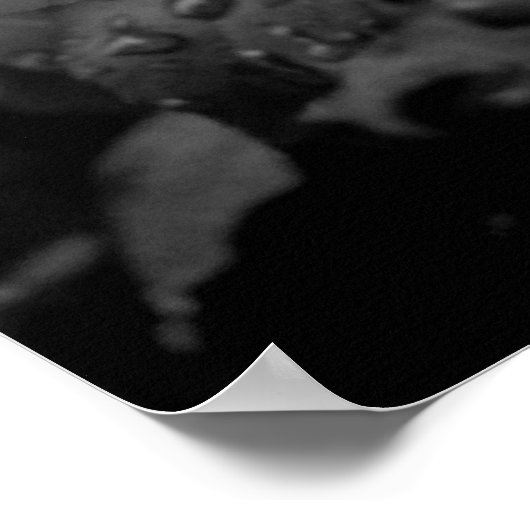 Nasse Rose Poster (Ecke)