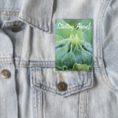 Nasse Sonnenblume-Knospen-Nahaufnahme-Fotografie Button (Insitu)