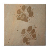 Nasse Tatzen-Drucke Fliese (Vorderseite)