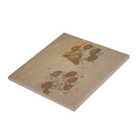 Nasse Tatzen-Drucke Fliese (Seite)