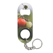 nasse Tomaten im Rind Mini Flaschenöffner (Rückseite)
