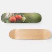 nasse Tomaten im Rind Skateboard (Horizontal)