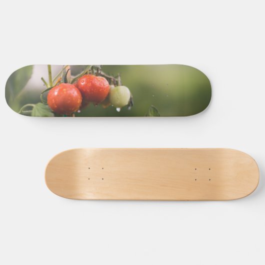 nasse Tomaten im Rind Skateboard (Horizontal)