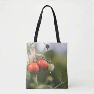 nasse Tomaten im Rind Tasche