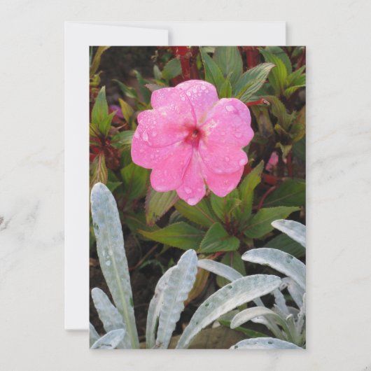 Nasseinladung, Blume anpassen Einladung (Vorderseite)