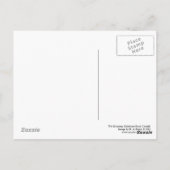 Nasser Abend, Salisbury Road Cardiff (1) Postkarte (Rückseite)