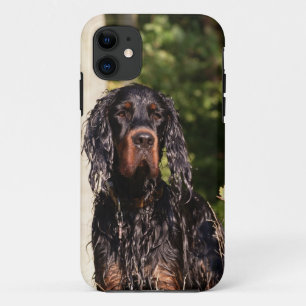 Nasser Gordon-Setzer iPhone 5 Fall 11 Hülle