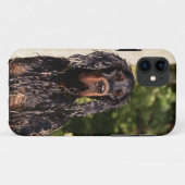 Nasser Gordon-Setzer iPhone 5 Fall Case-Mate iPhone Hülle (Rückseite (Horizontal))