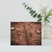 nasser Herbstblatt 2 Postkarte (Stehend Vorderseite)