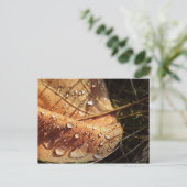 Nasser Herbstleaf - Postkarte (Stehend Vorderseite)