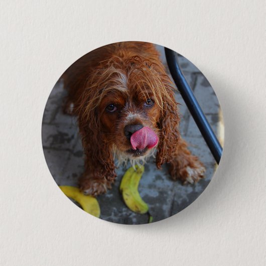 Nasser Hund mit einer Banane Button (Vorderseite)