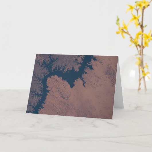 Nasser Karte (Gelbe Blume)