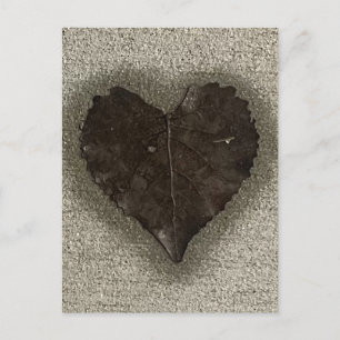 Nasses herzförmiges Blatt auf dem Bürgersteig Foto Postkarte