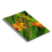 Nasses orange Blumennotizbuch Notizblock (Rechte Seite)