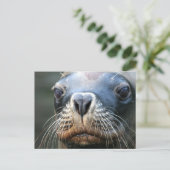 Nasses Siegel Postkarte (Stehend Vorderseite)