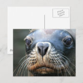 Nasses Siegel Postkarte (Vorne/Hinten)