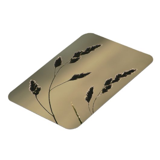 Nassgrasohr Magnet (Linke Seite)