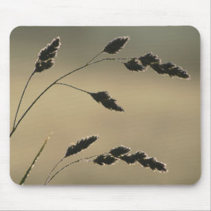 Nassgrasohr Mousepad