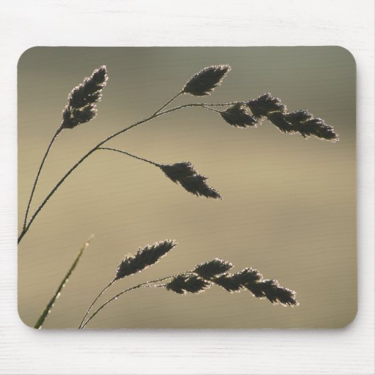 Nassgrasohr Mousepad (Vorne)