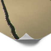 Nassgrasohr Poster (Ecke)