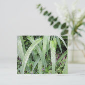 Nassgrüne Blätter Postkarte (Stehend Vorderseite)