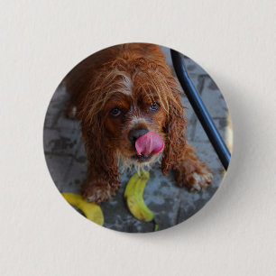 Nasshund mit Banane Button