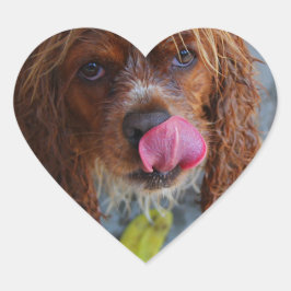 Nasshund mit Banane Herz-Aufkleber