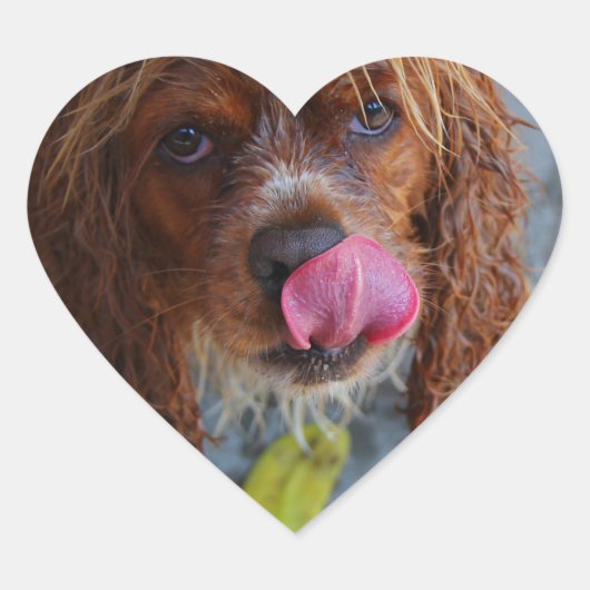 Nasshund mit Banane Herz-Aufkleber (Vorderseite)