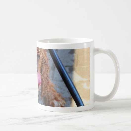 Nasshund mit Banane Kaffeetasse (Rechts)