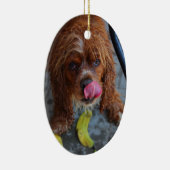 Nasshund mit Banane Keramikornament (Rechts)