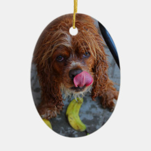Nasshund mit Banane Keramikornament