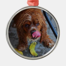 Nasshund mit Banane Ornament Aus Metall