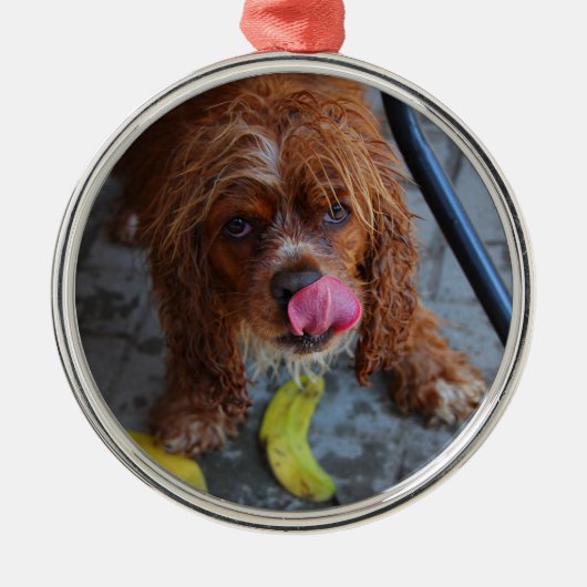 Nasshund mit Banane Ornament Aus Metall (Vorne)