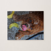 Nasshund mit Banane Puzzle (Horizontal)