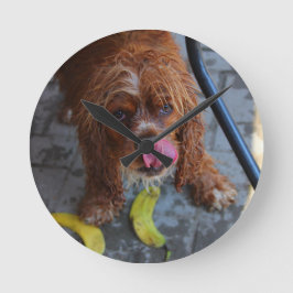 Nasshund mit Banane Runde Wanduhr