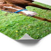 Nasskastanien Poster (Ecke)