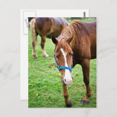 Nasskastanien Postkarte (Vorne/Hinten)