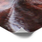 Nassleaf Poster (Ecke)