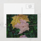 Nasslinke Postkarte (Vorne/Hinten)