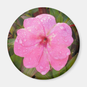 Nassmagnet der Blume Magnet